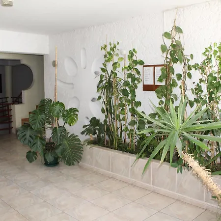 Apartamentosolpraia - Patio Da Rocha Appartement *